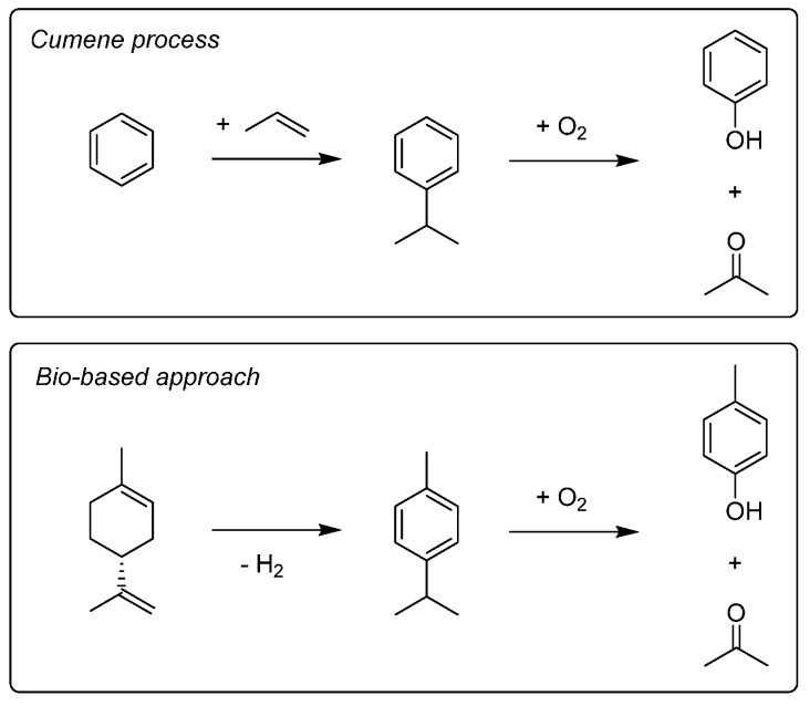 Scheme 6