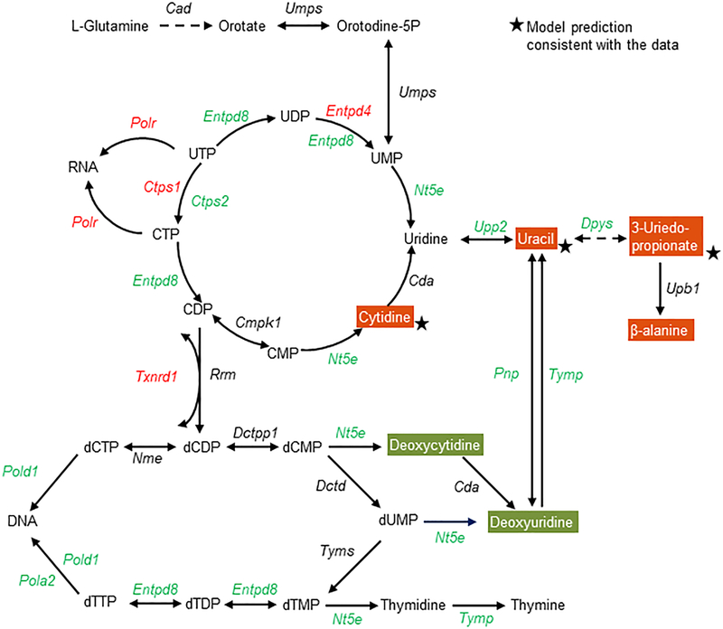 Figure 6: