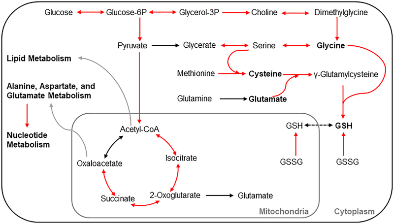 Figure 7: