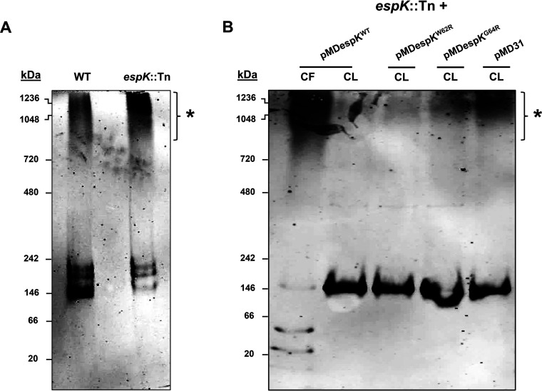 FIG 8