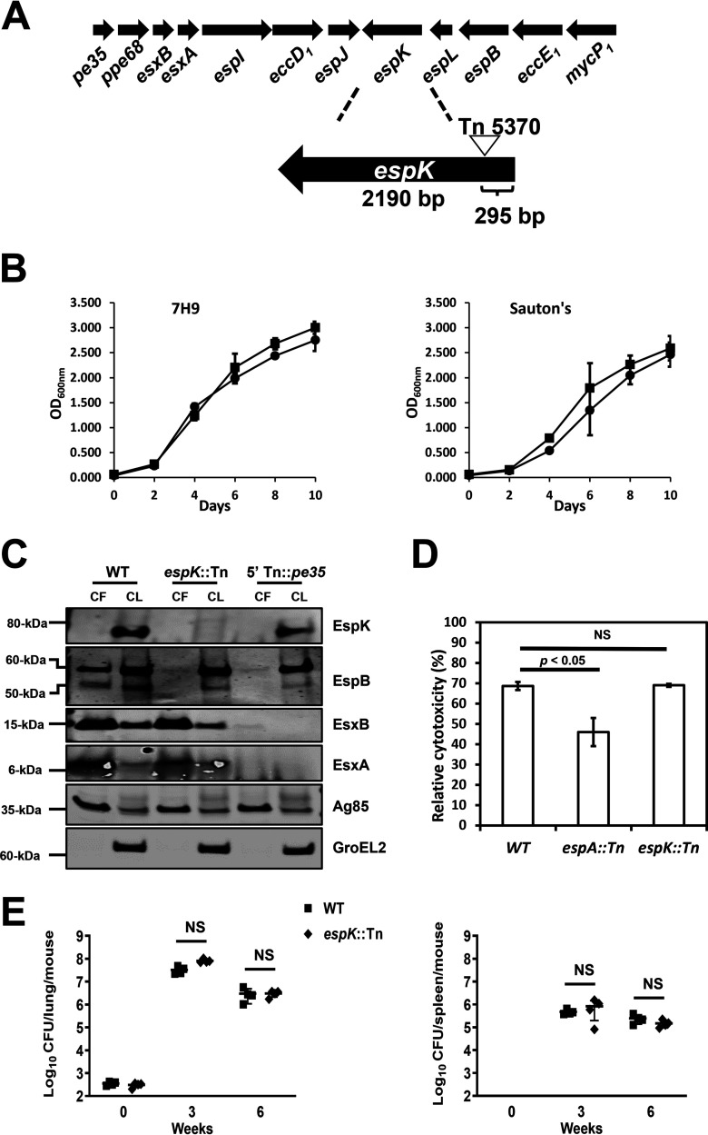 FIG 1