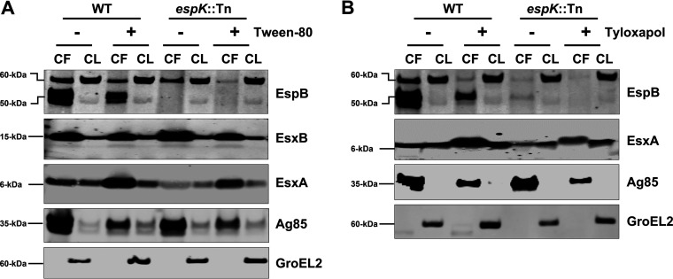 FIG 4