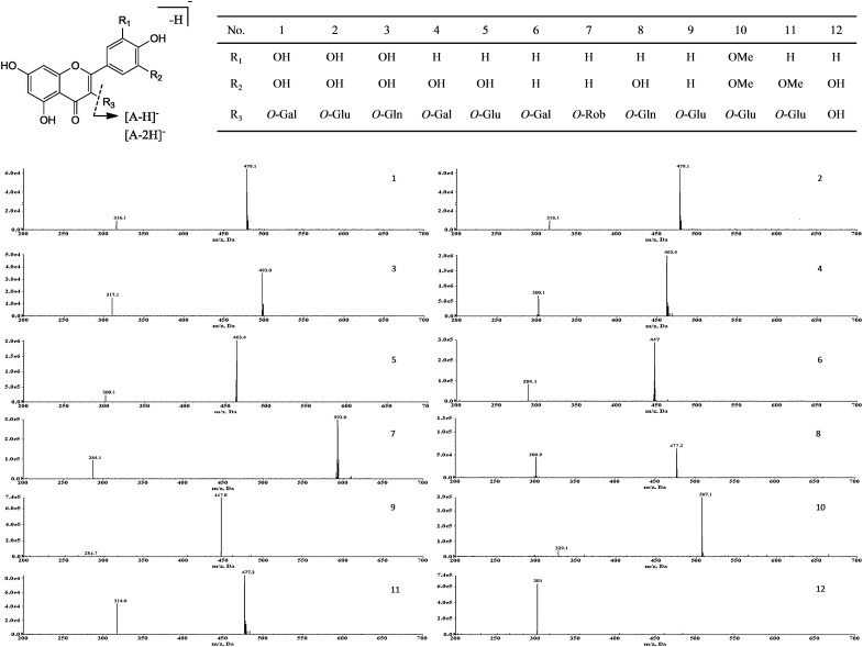 Figure 2.