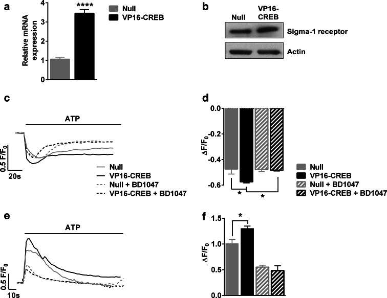 Fig. 6