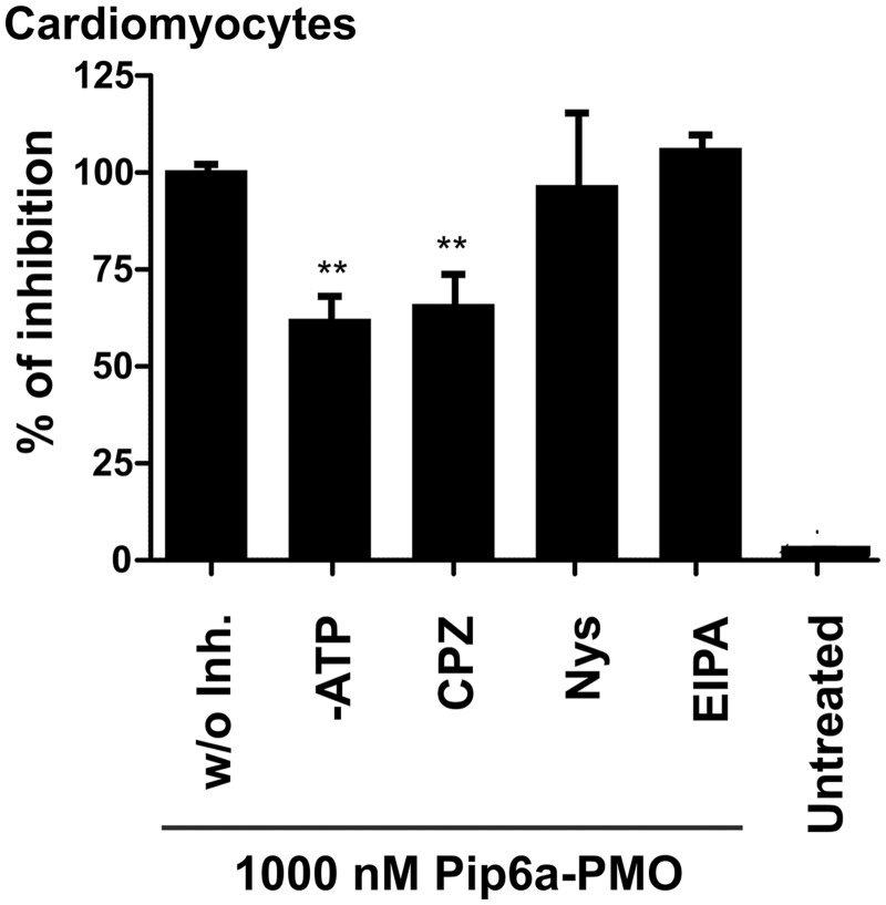 Figure 6.