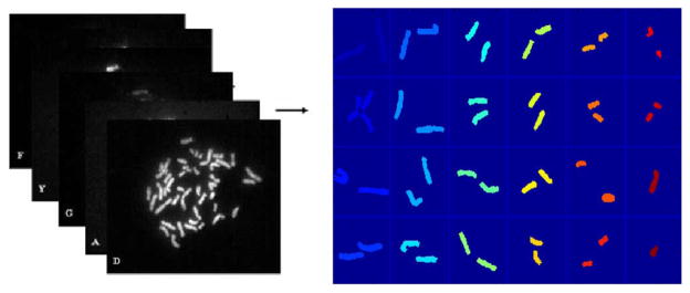 Fig. 1