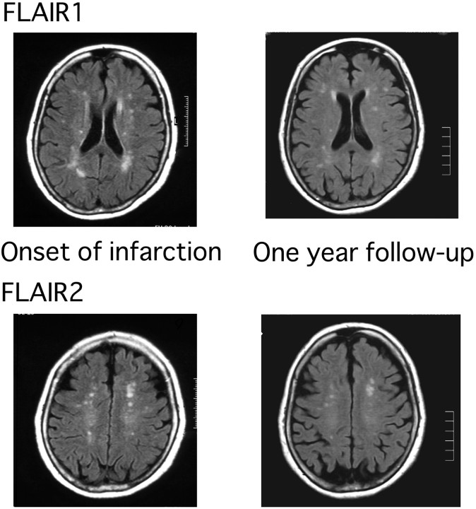 Fig 1.