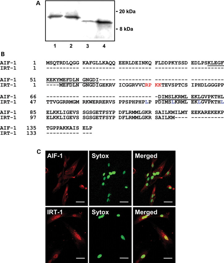 Figure 1