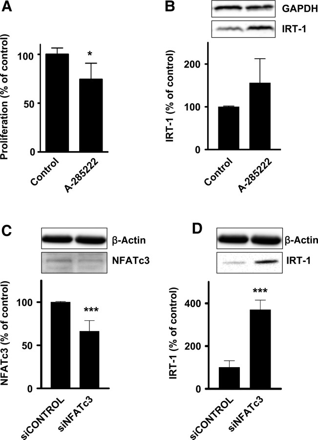 Figure 5