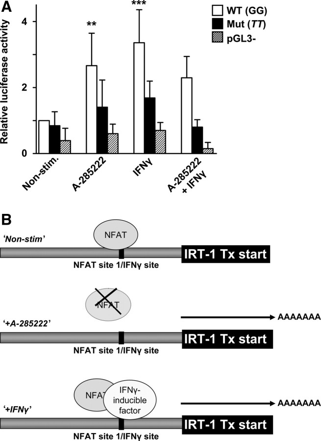 Figure 6