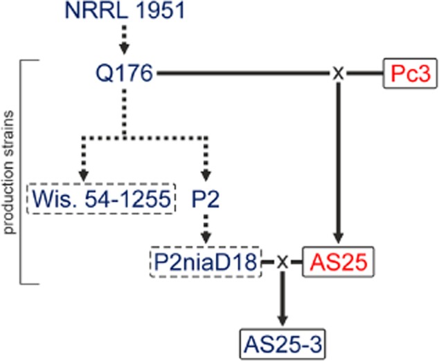 Figure 5