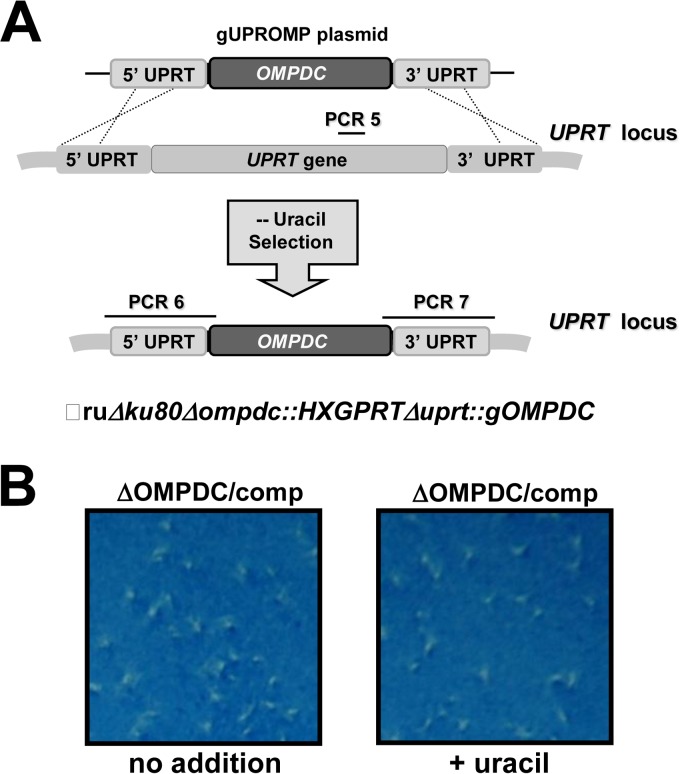 FIG 4