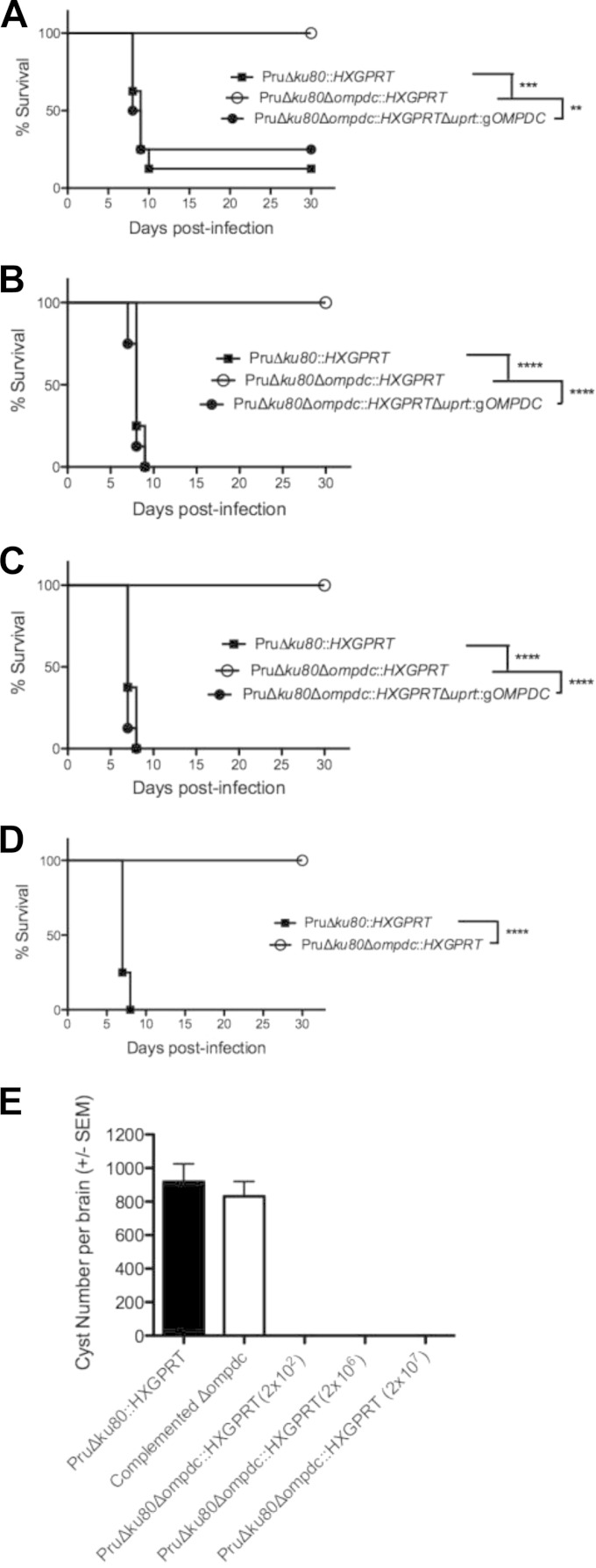 FIG 6