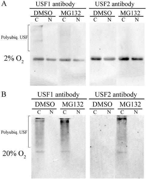 FIG. 7.