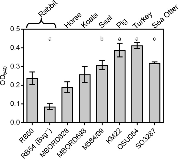 FIG 1