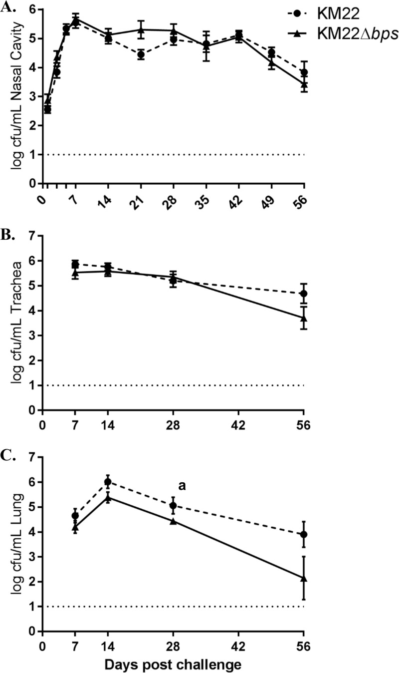 FIG 5