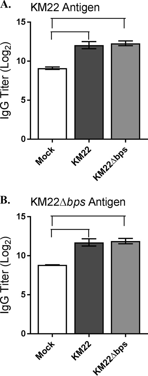 FIG 6