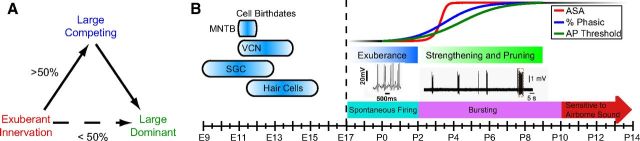 Figure 11.