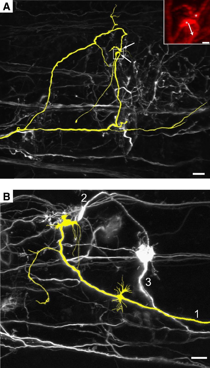 Figure 7.