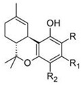 graphic file with name molecules-27-03301-i001.jpg