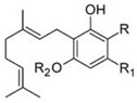 graphic file with name molecules-27-03301-i004.jpg