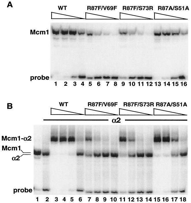 FIG. 7.