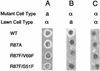 FIG. 8.