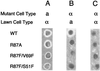 FIG. 8.