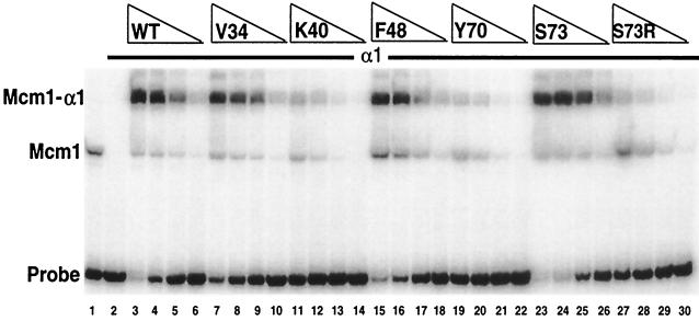 FIG. 5.