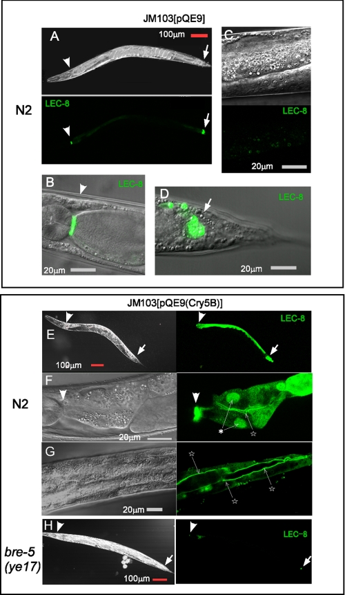 FIGURE 4.