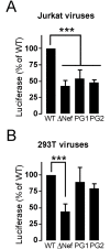 Fig 7