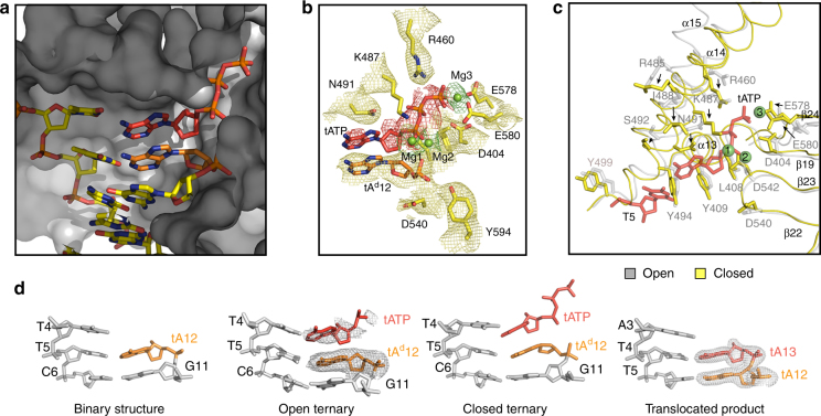 Fig. 4