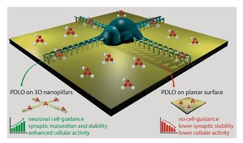 Figure 18