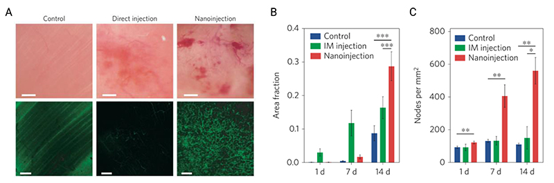 Figure 19