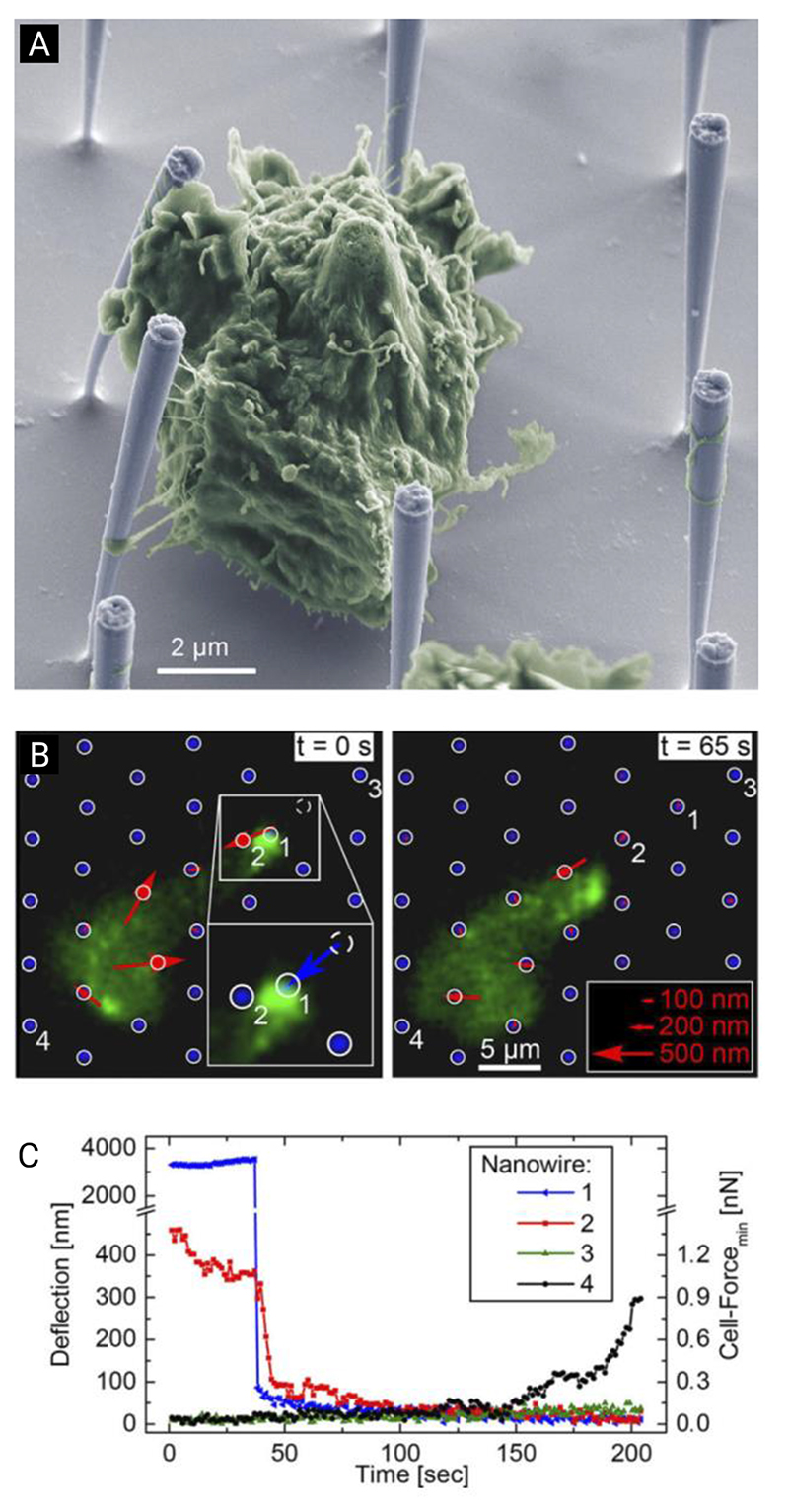 Figure 27