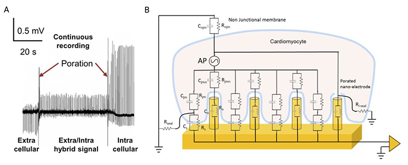 Figure 23