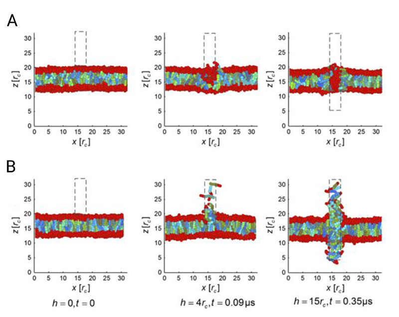 Figure 13