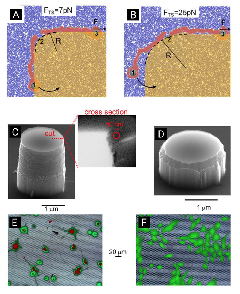 Figure 14