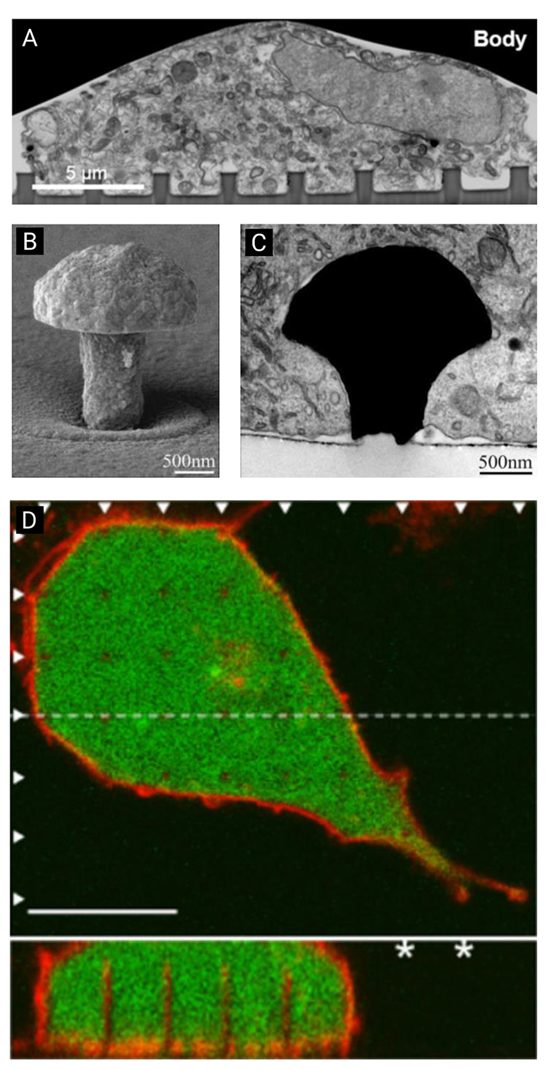 Figure 6