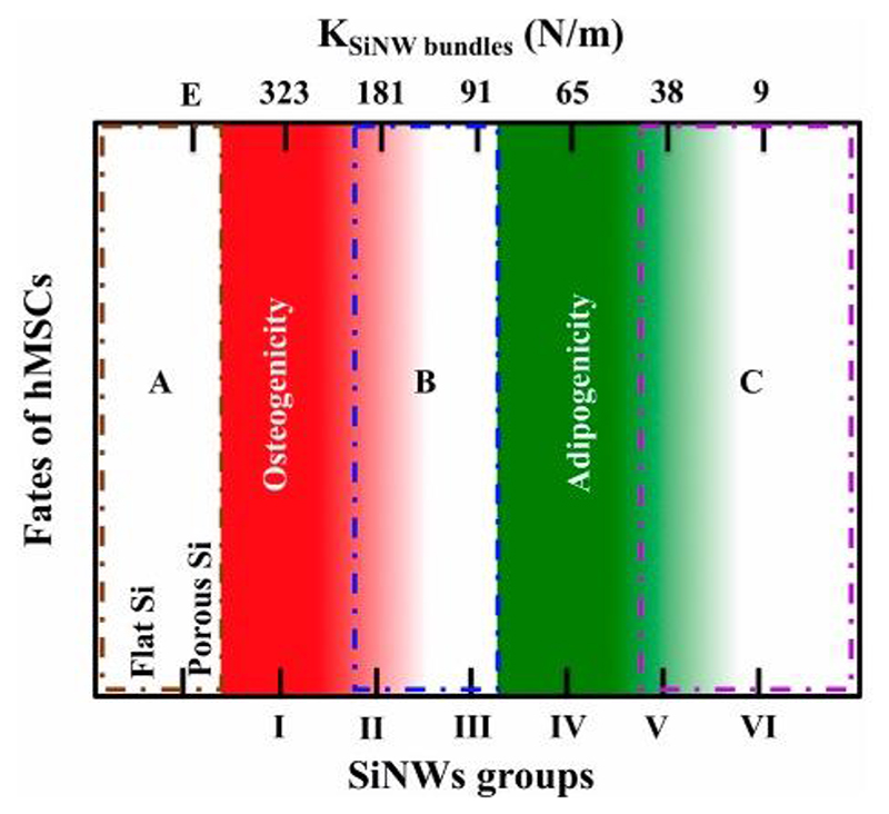 Figure 26