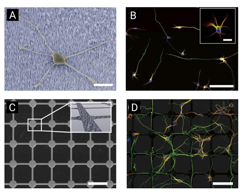 Figure 24