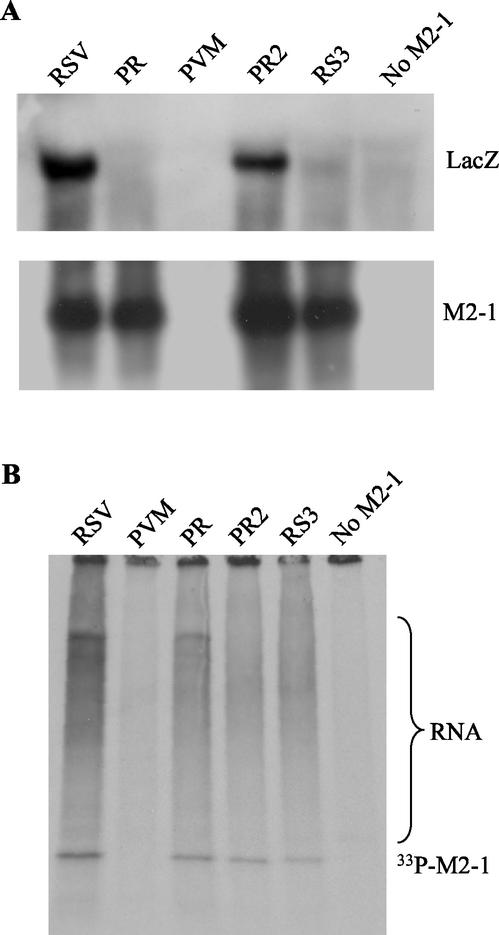 FIG. 5.