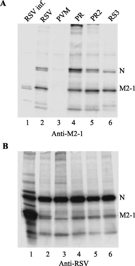 FIG. 6.