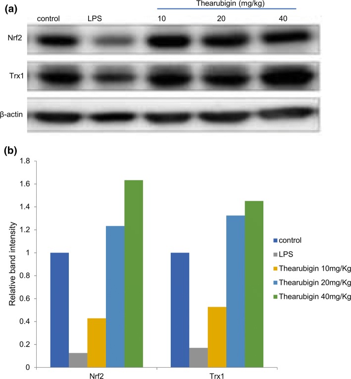 Fig. 6