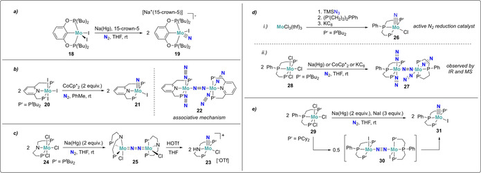 Scheme 6