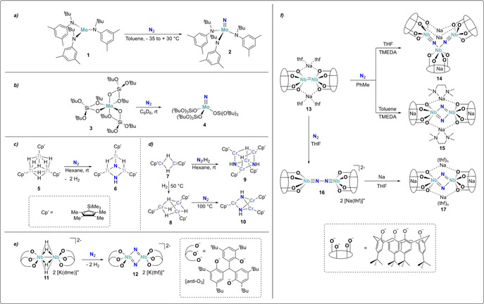 Scheme 5