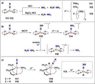 Scheme 22