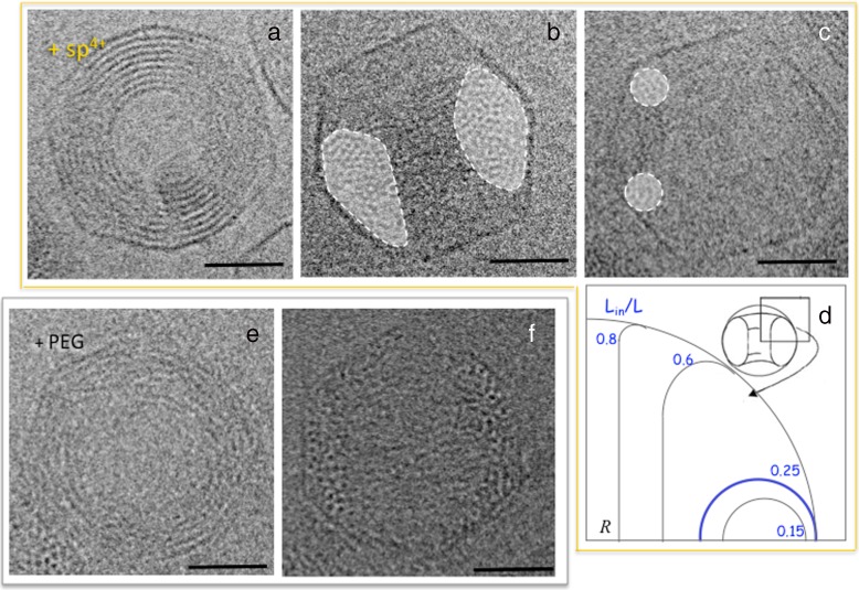 Fig. 4