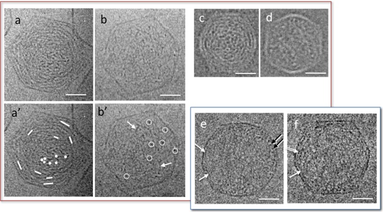 Fig. 3