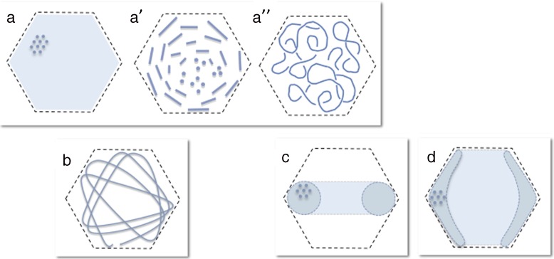 Fig. 5